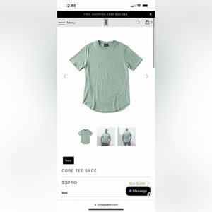Zivi NEW Core Tee in Sage!
